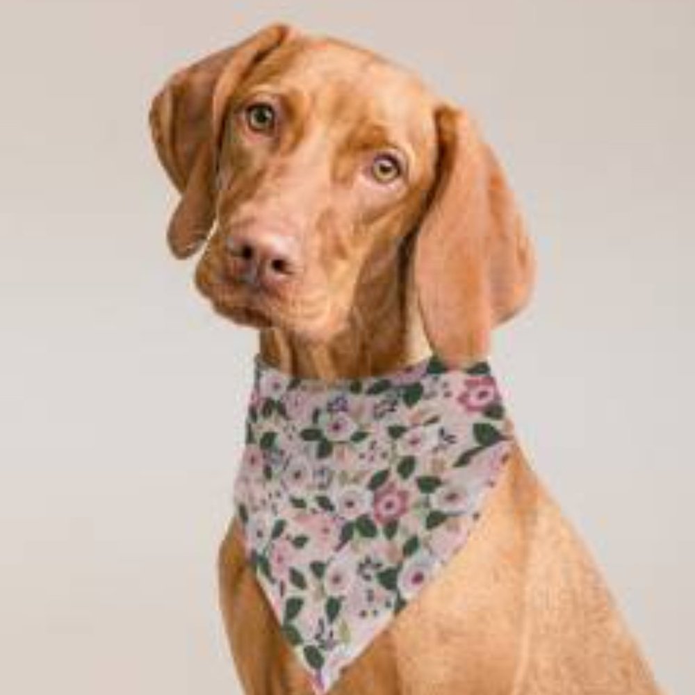 Triangle Bandana For Dog or Cat Pink Blossoms